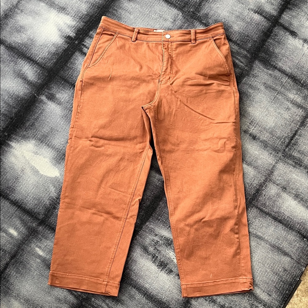 Everlane Women’s Straight Leg Cropped Rust Chinos, Terra Cotta color, 16